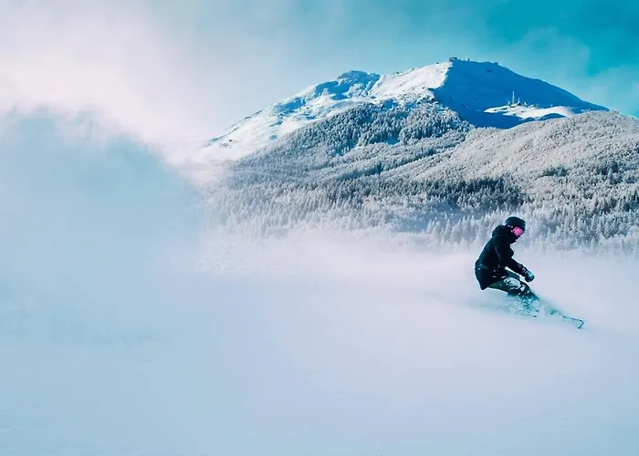 Apartment - Casa “pepi” Pievepelago